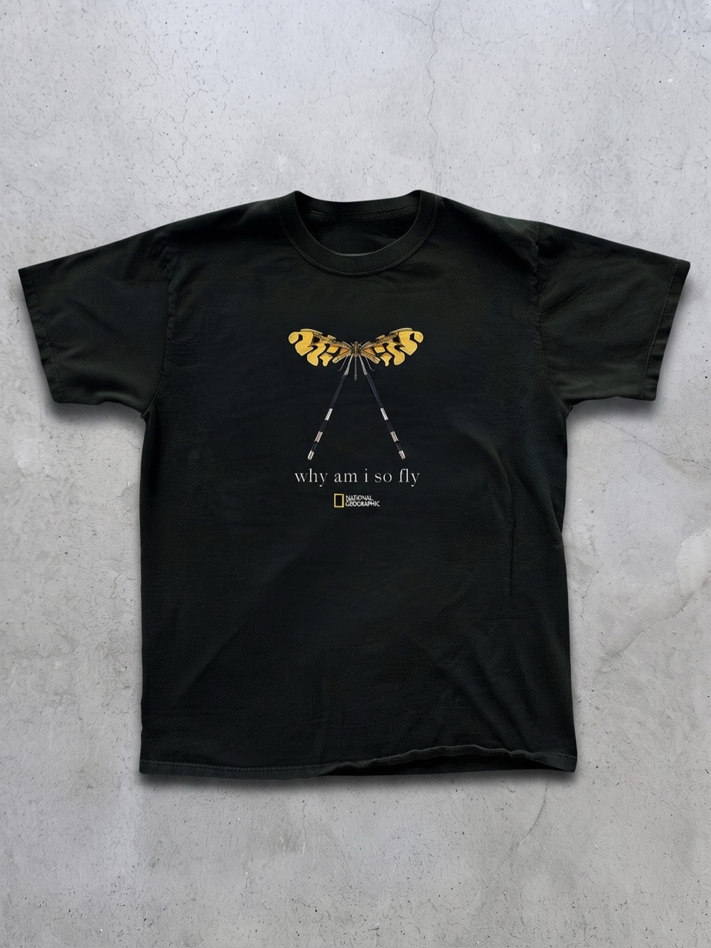 "Why Am I So Fly" Dragonfly Graphic Black Tee - Gildan Cotton T-Shirt